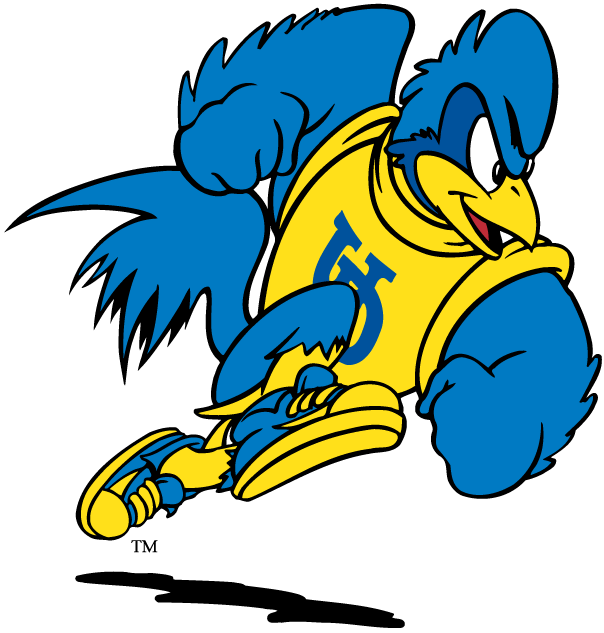 delaware blue hens 1993-pres mascot logo t shirts DIY iron ons v2